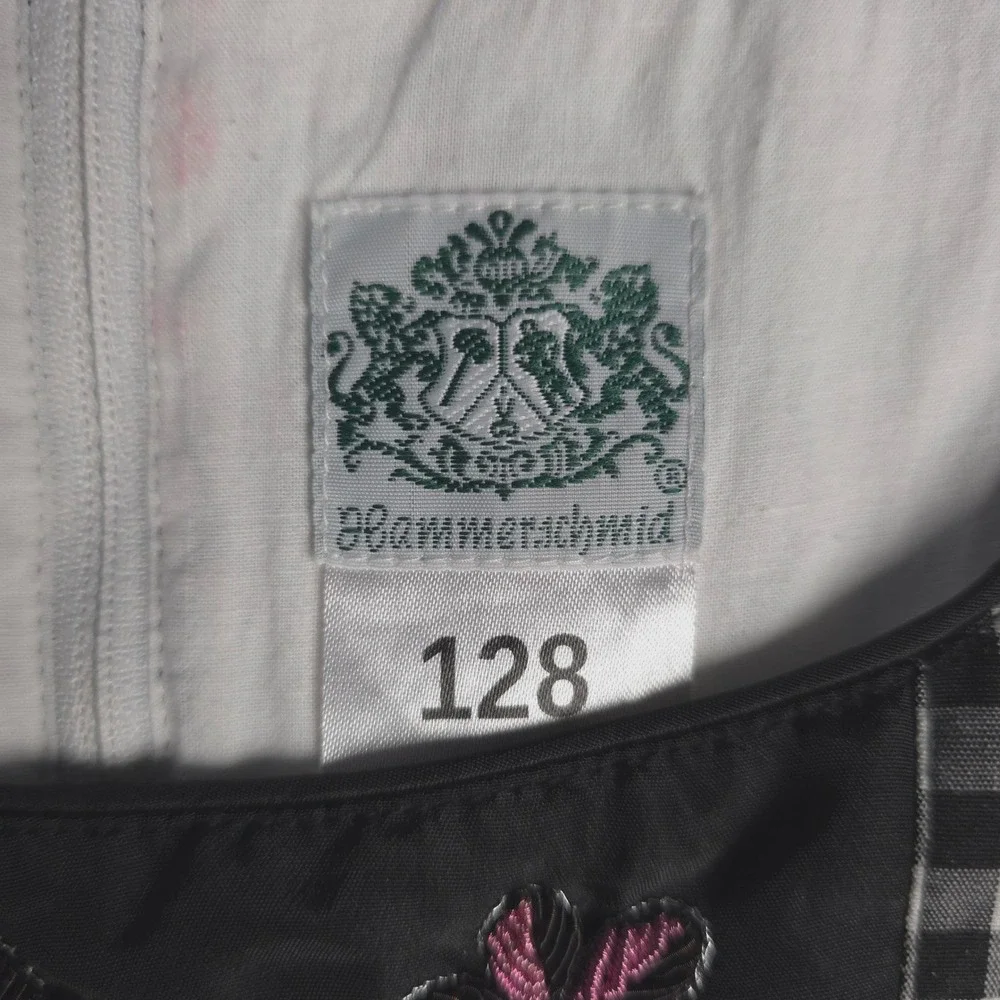 Hammerschmid capture spirit
